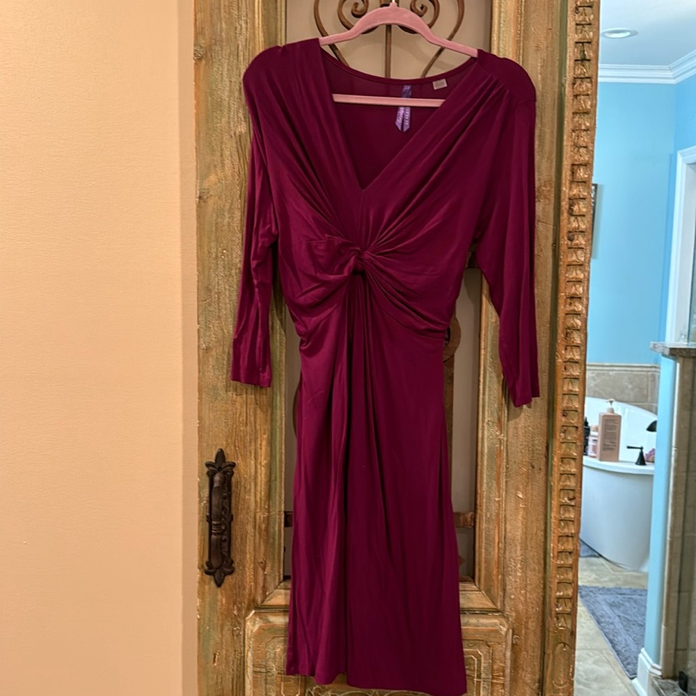 Seraphine Burgundy Dress